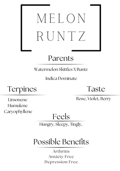 Melon Runtz