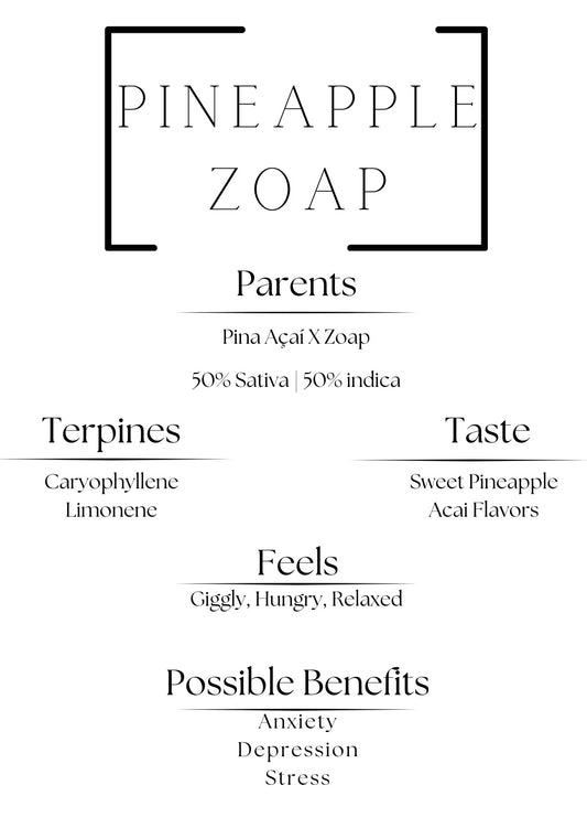 Pineapple Zoap