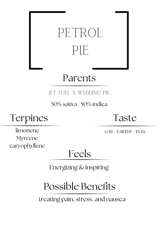 Petrol Pie 1/8