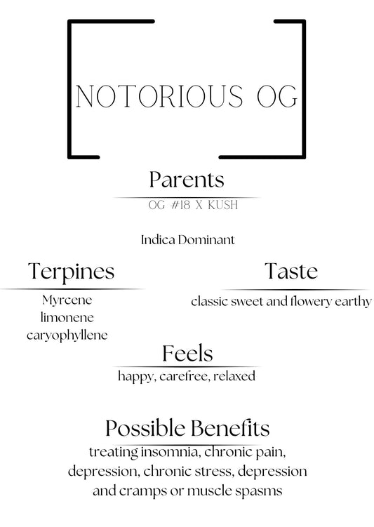 Notorious OG (3ct) 1.g