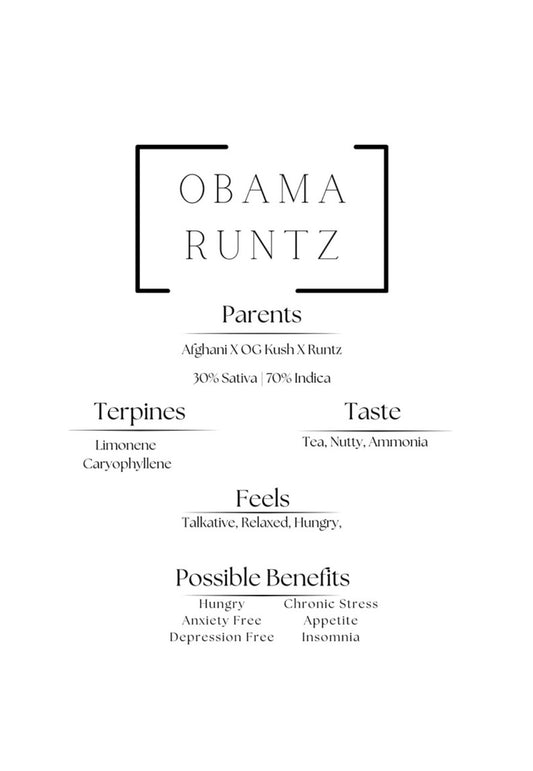 Obama Runtz (3ct) 1.g