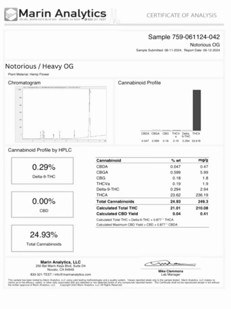 NOTORIOUS|HEAVY OG