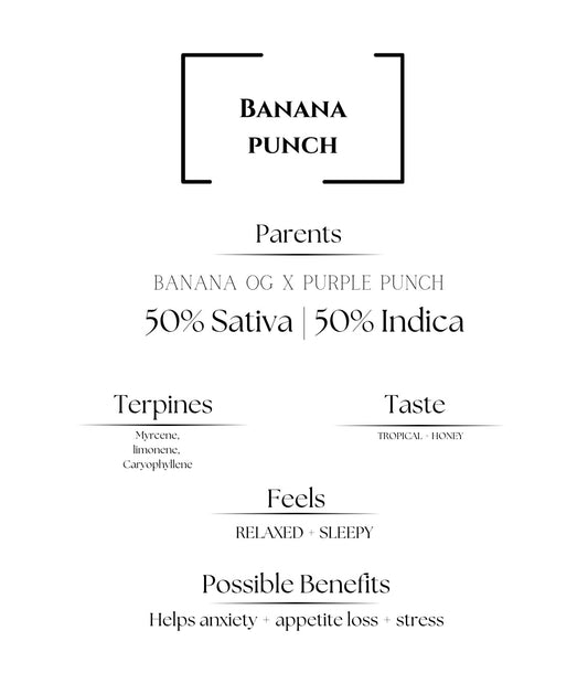 Banana Punch 1/8